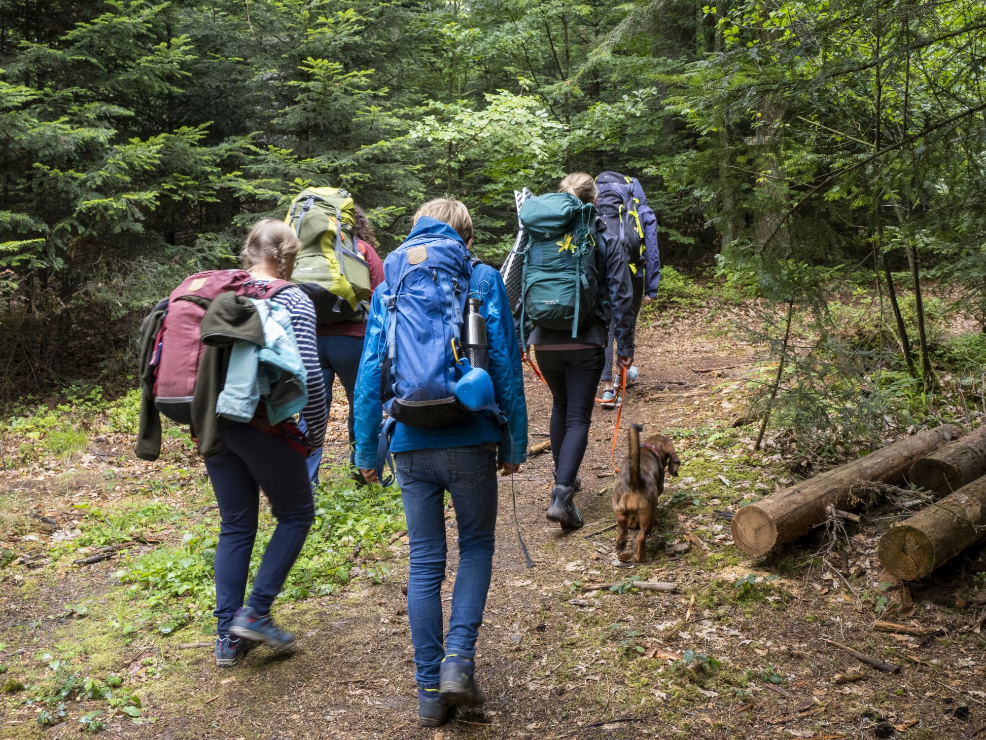 Trekker mit großen Rucksäcken und einem Hund wandern richtung Camp