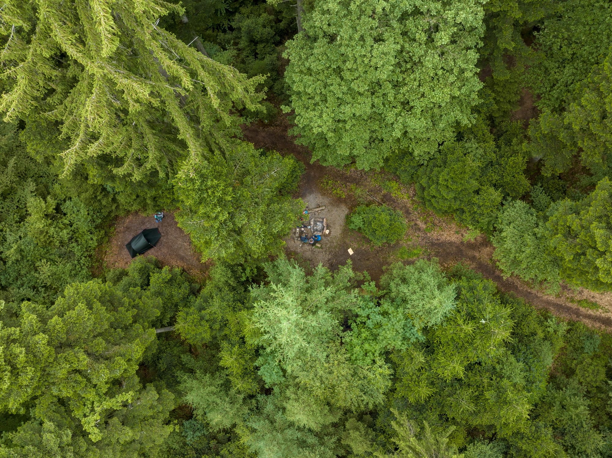 Trekking in the northern Black Forest, photographer Michael Keppler Black Forest Nature Park Central/North Forest with tent and fire pit from above