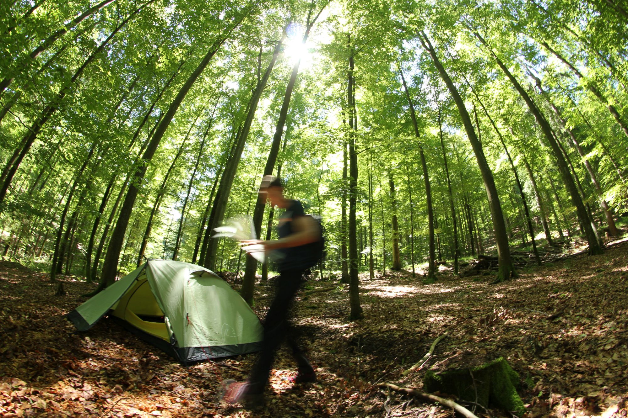 Wanderer mit Trekking Karte vor Zelt im Wald